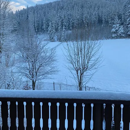 דירה U Zosi זקופאנה