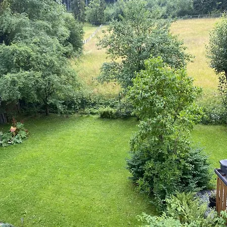 U Zosi 公寓 扎科帕内