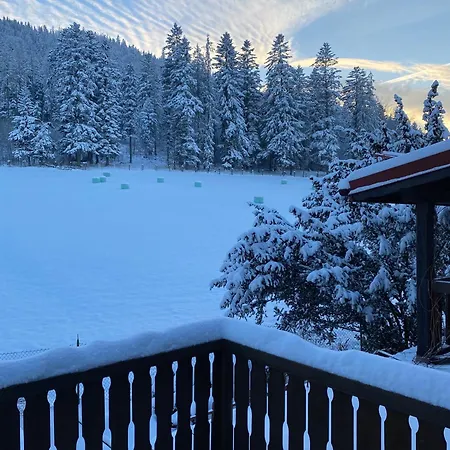 U Zosi 公寓 扎科帕内